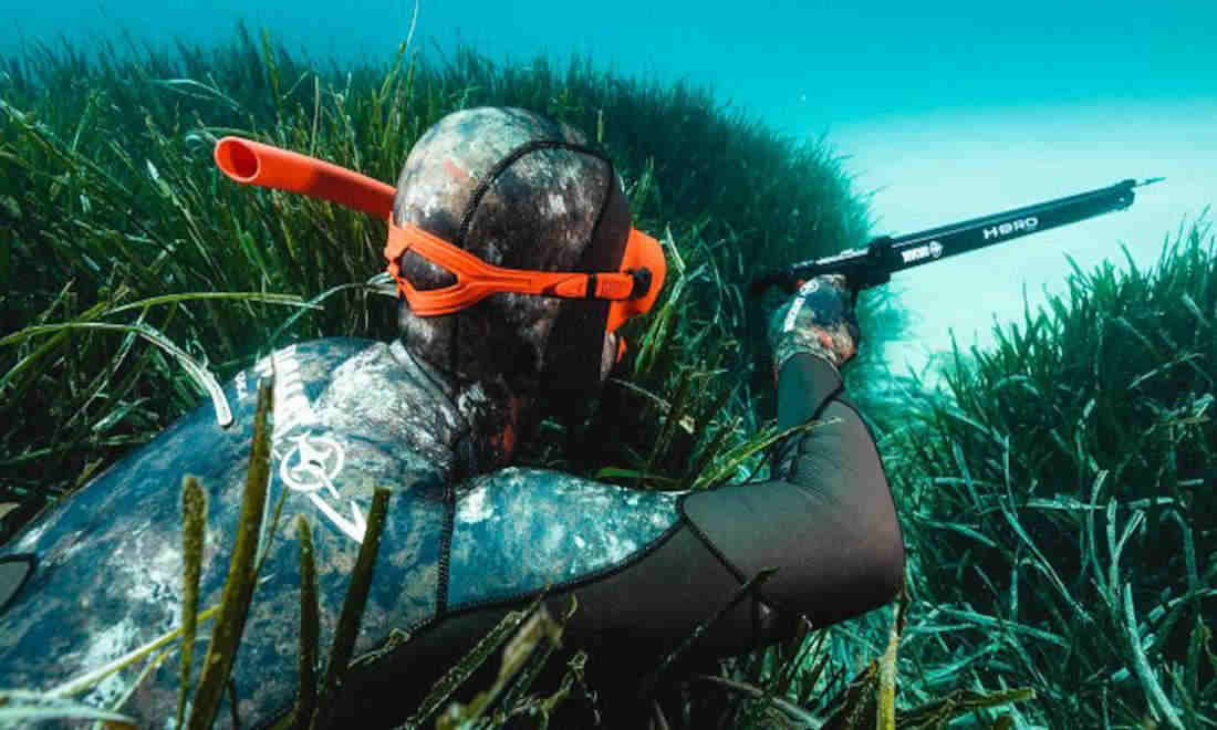 image pesca